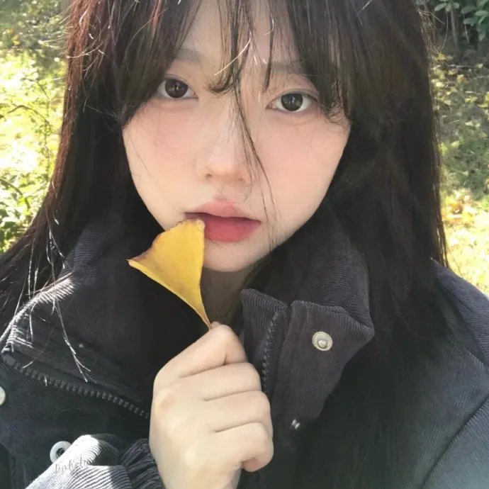 男才女貌2